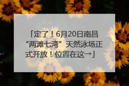定了！6月20日南昌“两滩七湾”天然泳场正式开放！位置在这→