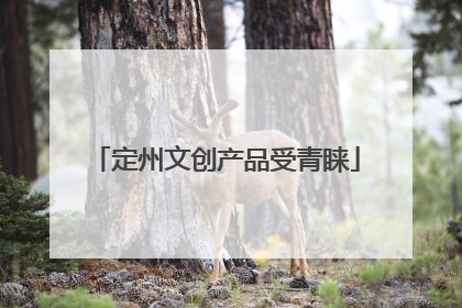 定州文创产品受青睐