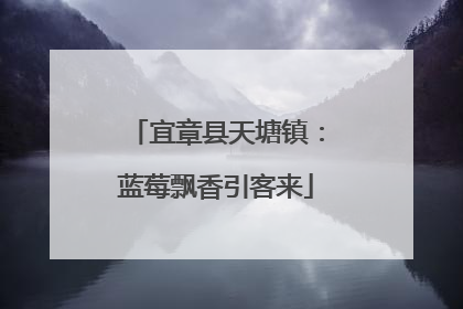 宜章县天塘镇：蓝莓飘香引客来