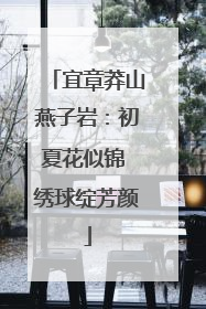 宜章莽山燕子岩：初夏花似锦 绣球绽芳颜