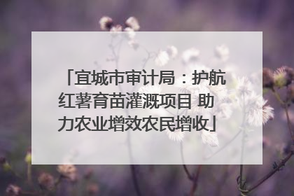 宜城市审计局：护航红薯育苗灌溉项目 助力农业增效农民增收