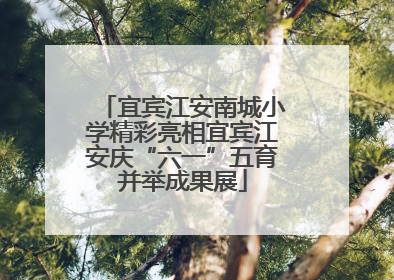 宜宾江安南城小学精彩亮相宜宾江安庆“六一”五育并举成果展