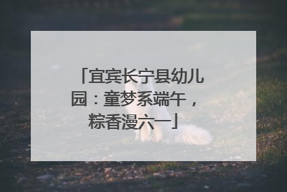 宜宾长宁县幼儿园：童梦系端午，粽香漫六一