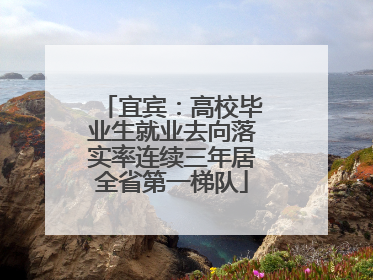 宜宾：高校毕业生就业去向落实率连续三年居全省第一梯队