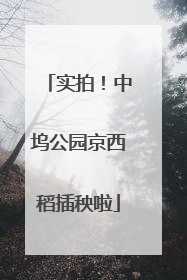 实拍！中坞公园京西稻插秧啦