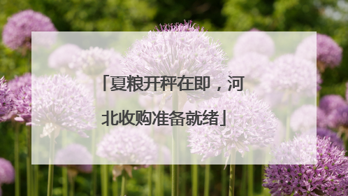 夏粮开秤在即，河北收购准备就绪