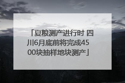 夏粮测产进行时 四川6月底前将完成4500块抽样地块测产