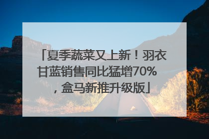 夏季蔬菜又上新！羽衣甘蓝销售同比猛增70%，盒马新推升级版