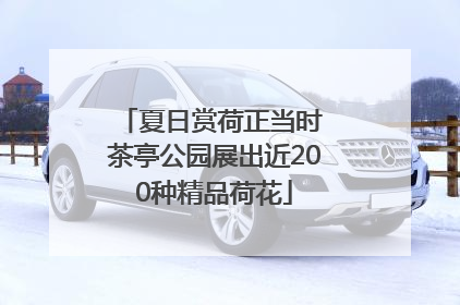 夏日赏荷正当时 茶亭公园展出近200种精品荷花