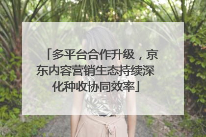 多平台合作升级，京东内容营销生态持续深化种收协同效率