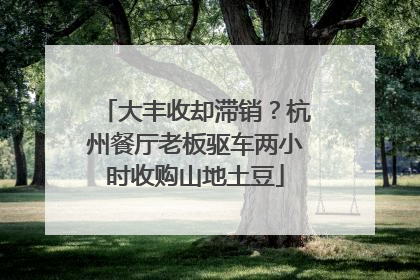 大丰收却滞销？杭州餐厅老板驱车两小时收购山地土豆