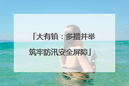大有镇：多措并举筑牢防汛安全屏障