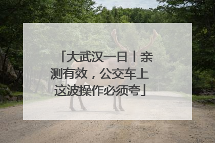 大武汉一日丨亲测有效，公交车上这波操作必须夸