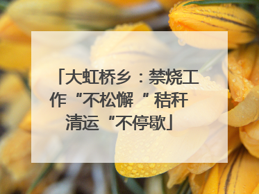 大虹桥乡：禁烧工作“不松懈“ 秸秆清运“不停歇
