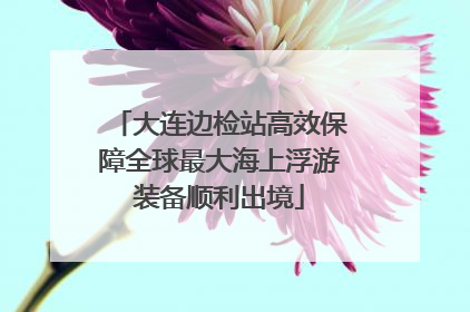 大连边检站高效保障全球最大海上浮游装备顺利出境