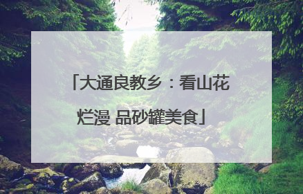 大通良教乡：看山花烂漫 品砂罐美食