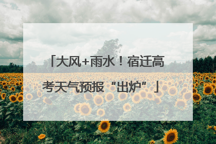 大风+雨水！宿迁高考天气预报“出炉”