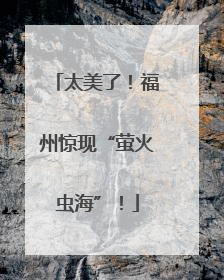 太美了！福州惊现“萤火虫海”！