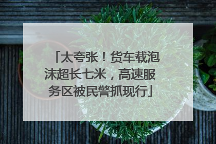 太夸张！货车载泡沫超长七米，高速服务区被民警抓现行