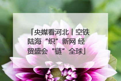 央媒看河北丨空铁陆海“织”新网 经贸盛会“链”全球