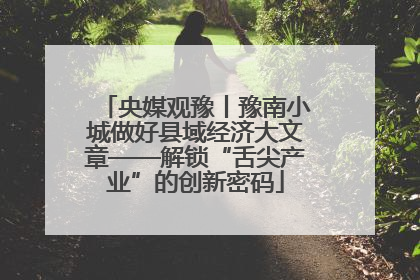 央媒观豫丨豫南小城做好县域经济大文章——解锁“舌尖产业”的创新密码