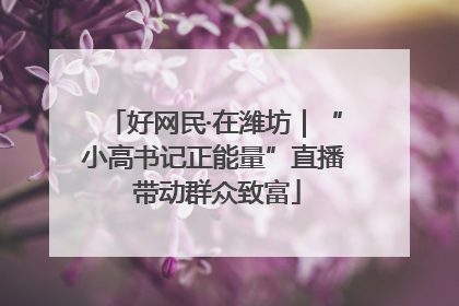 好网民·在潍坊｜“小高书记正能量”直播 带动群众致富