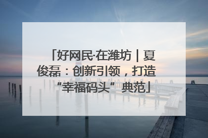 好网民·在潍坊｜夏俊磊：创新引领，打造“幸福码头”典范
