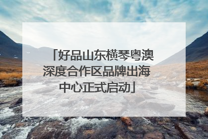 好品山东横琴粤澳深度合作区品牌出海中心正式启动