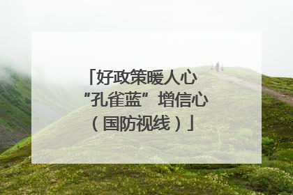 好政策暖人心 “孔雀蓝”增信心（国防视线）