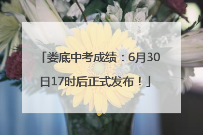 娄底中考成绩：6月30日17时后正式发布！