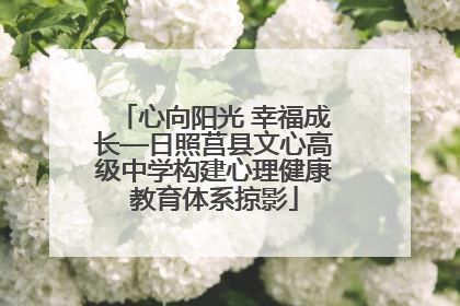 心向阳光 幸福成长—日照莒县文心高级中学构建心理健康教育体系掠影