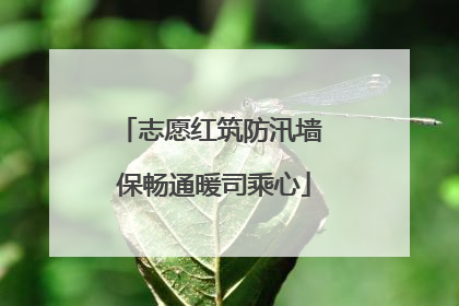 志愿红筑防汛墙 保畅通暖司乘心
