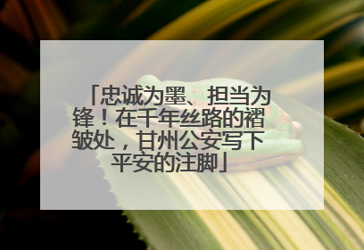 忠诚为墨、担当为锋！在千年丝路的褶皱处，甘州公安写下平安的注脚