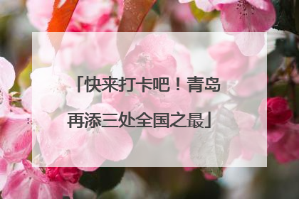 快来打卡吧！青岛再添三处全国之最