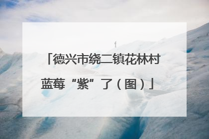 德兴市绕二镇花林村蓝莓“紫”了（图）
