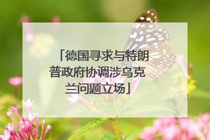 德国寻求与特朗普政府协调涉乌克兰问题立场