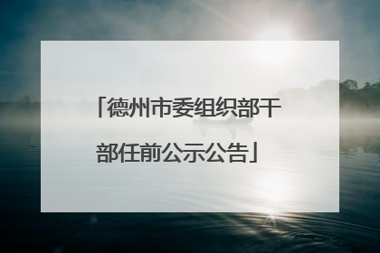 德州市委组织部干部任前公示公告