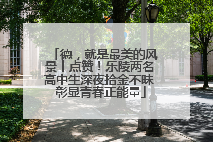 德，就是最美的风景丨点赞！乐陵两名高中生深夜拾金不昧 彰显青春正能量