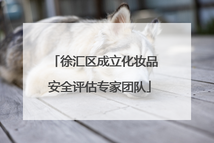 徐汇区成立化妆品安全评估专家团队