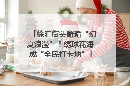 徐汇街头邂逅“初夏浪漫”！绣球花海成“全民打卡地”