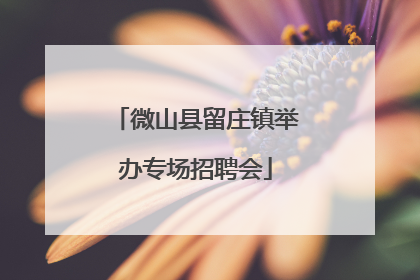 微山县留庄镇举办专场招聘会