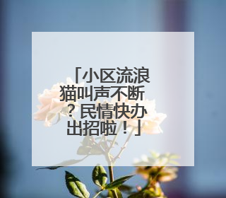 小区流浪猫叫声不断？民情快办出招啦！
