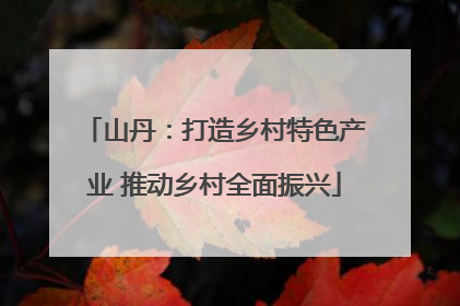 山丹：打造乡村特色产业 推动乡村全面振兴