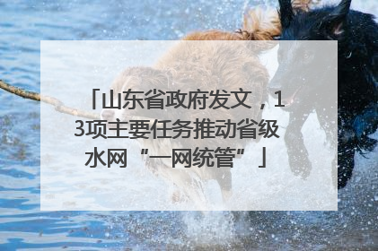 山东省政府发文，13项主要任务推动省级水网“一网统管”