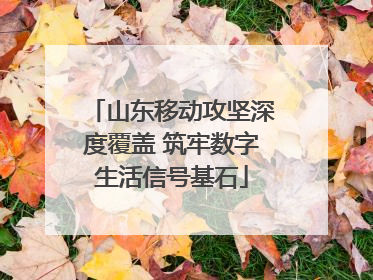 山东移动攻坚深度覆盖 筑牢数字生活信号基石