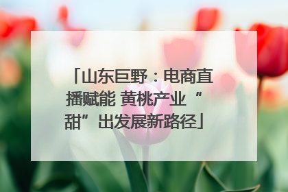山东巨野：电商直播赋能 黄桃产业“甜”出发展新路径