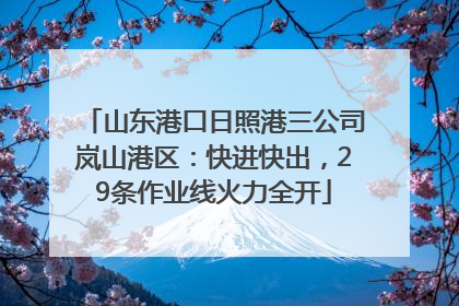山东港口日照港三公司岚山港区：快进快出，29条作业线火力全开