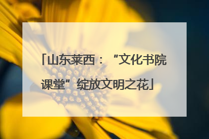 山东莱西：“文化书院课堂”绽放文明之花