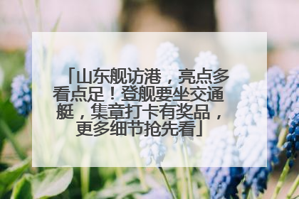 山东舰访港，亮点多看点足！登舰要坐交通艇，集章打卡有奖品，更多细节抢先看