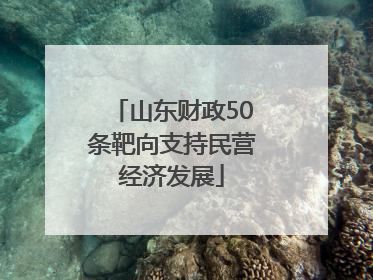 山东财政50条靶向支持民营经济发展